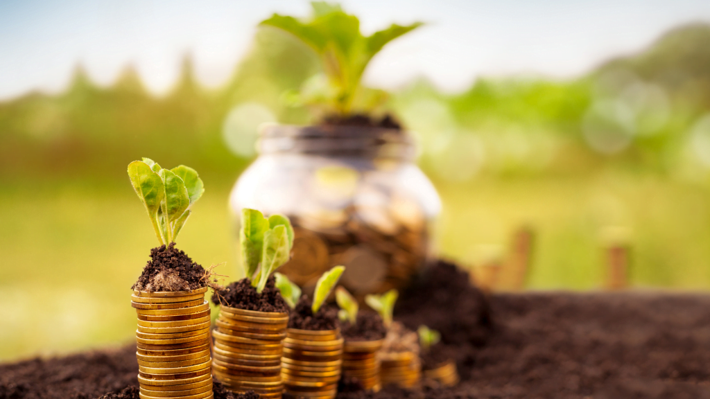 Cómo puedo asegurar mi futuro financiero