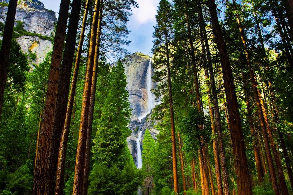 Parque Nacional de Yosemite en Estados Unidos