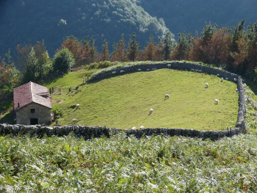 Toda la información sobre el Camping Arbizu