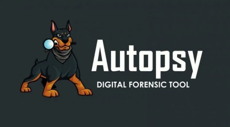 Cómo Realizar un Análisis Forense Digital Básico en Linux