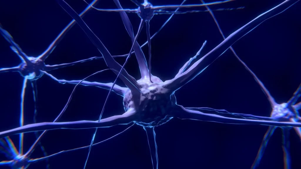 Redes Neuronales Explicadas Qué Son y Cómo Funcionan